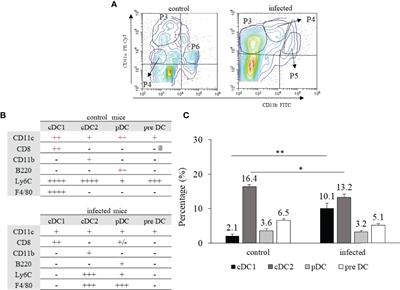 In the Acute Phase of Trypanosoma cruzi Infection, Liver Lymphoid and Myeloid Cells Display an Ambiguous Phenotype Combining Pro- and Anti-Inflammatory Markers